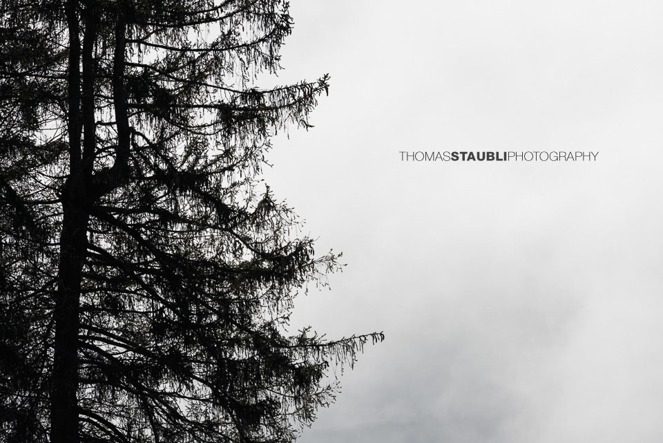 Trauerkarten Thomas Staubli