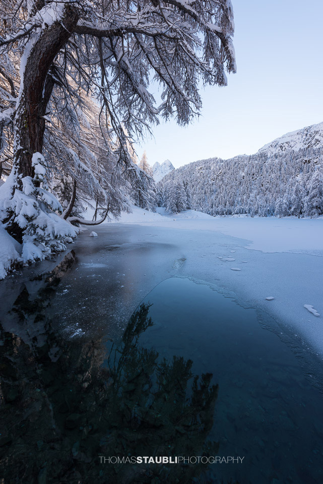 Winter am Lai da Palpuogna