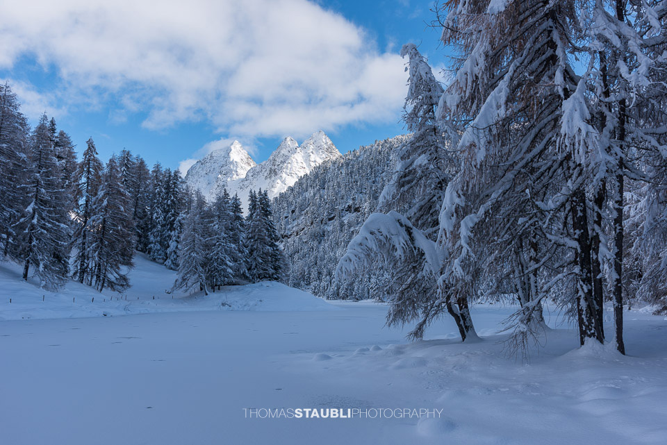 Winter am Lai da Palpuogna