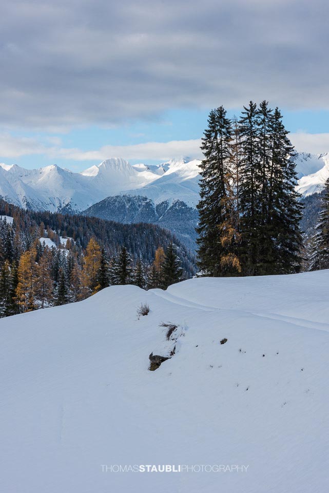 Blick aus dem Albulatal Richtung Aroser Rothorn, Pizza Naira u.a.