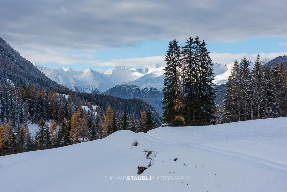 Blick aus dem Albulatal Richtung Aroser Rothorn, Pizza Naira u.a.