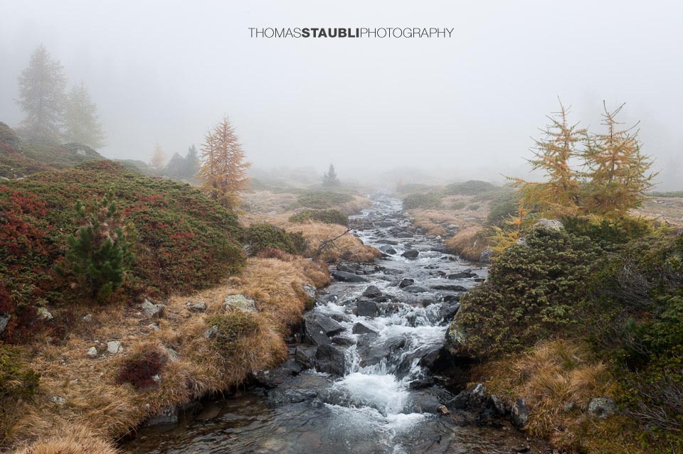 Am Lagh da Val Viola