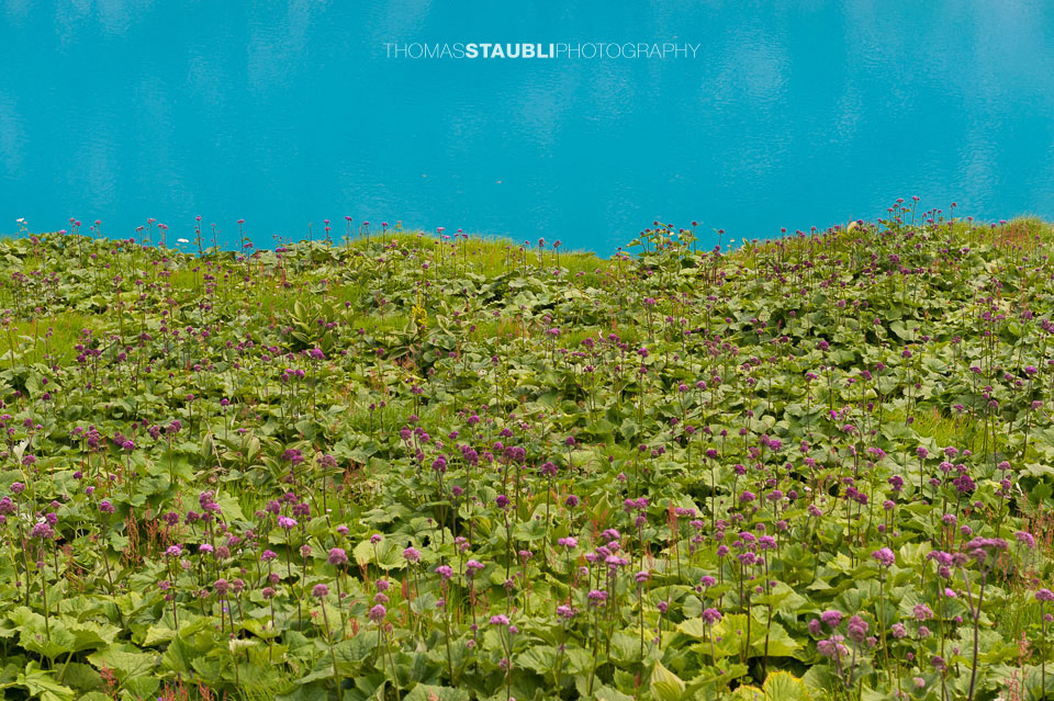 türkisblauer Nidersee unterhalb der Leutschachhütte