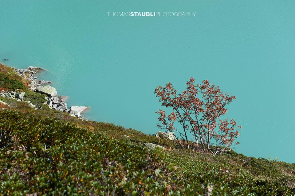 Der türkis schimmernde Gelmersee