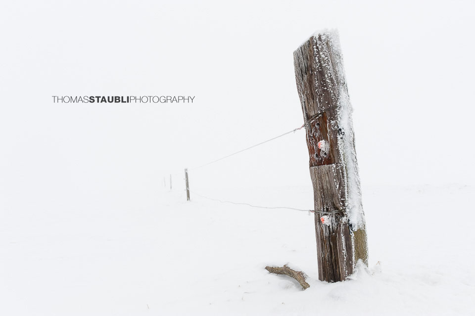 verschneiter Zaun