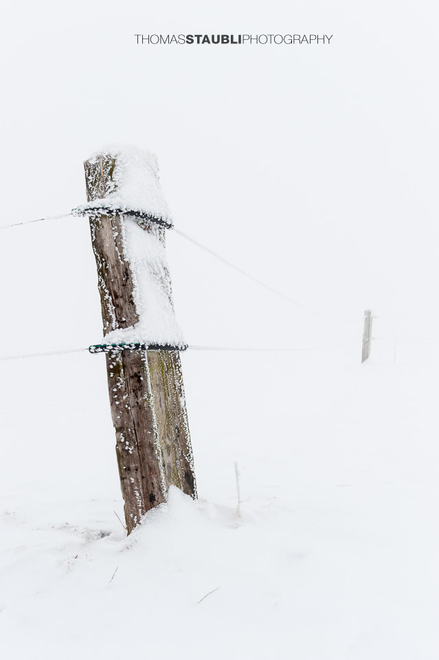 verschneiter Zaun