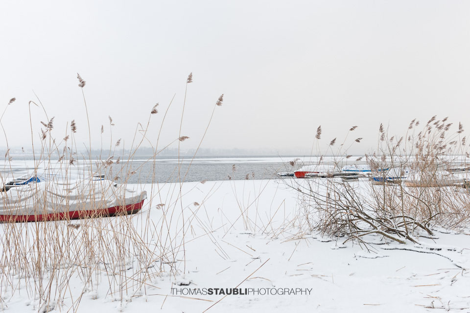 Ruderboote am zugefroenen Greifensee 2012