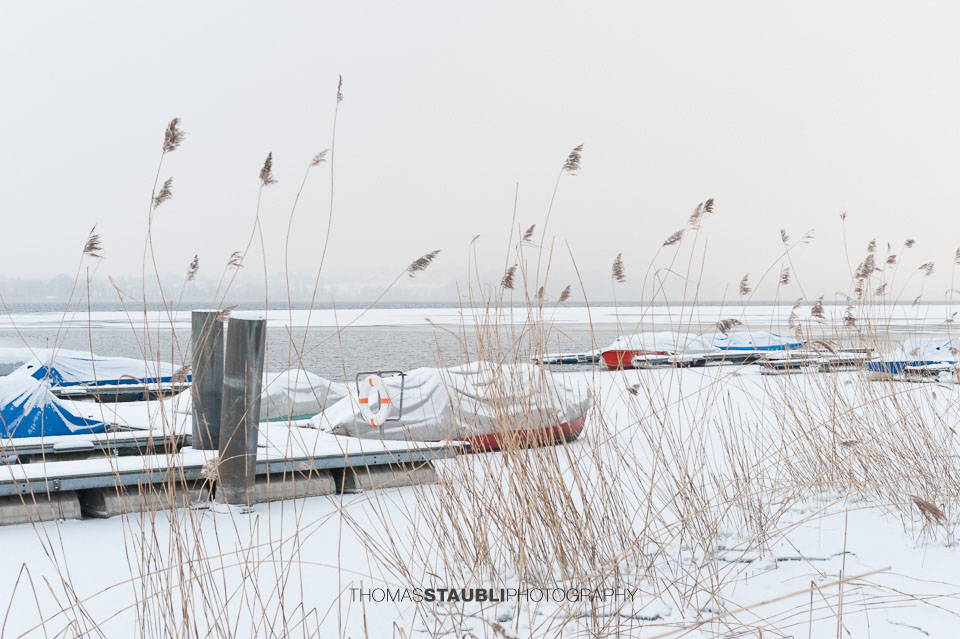 Ruderboote am zugefroenen Greifensee 2012