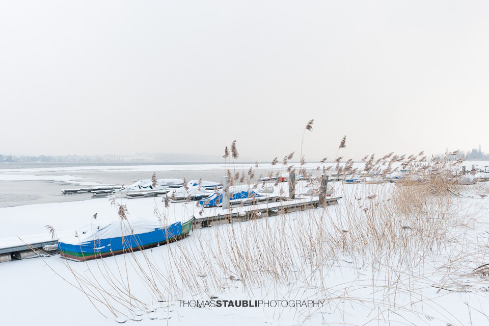 Ruderboote am zugefroenen Greifensee 2012