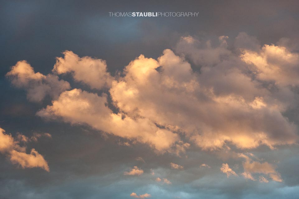 von der Abendsonne angestrahlte Gewitterwolken