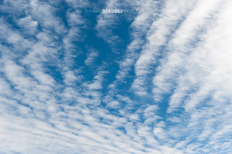 Altocumulus
