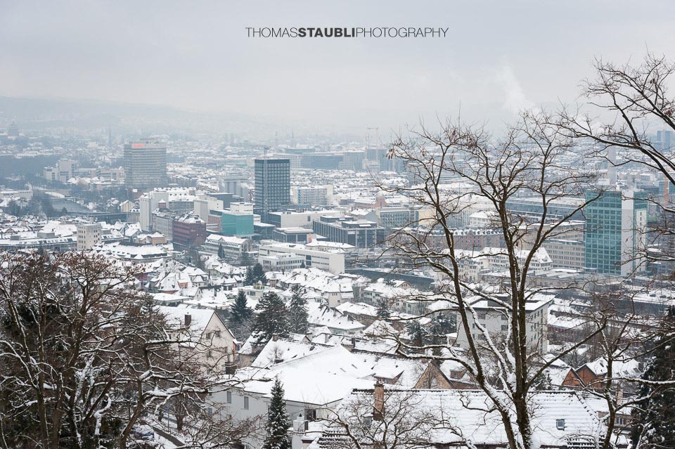 Blick von der Waid über die Stadt Zürich