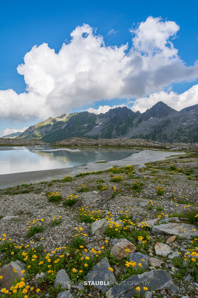Vorfeld des Witenwasserengletschers