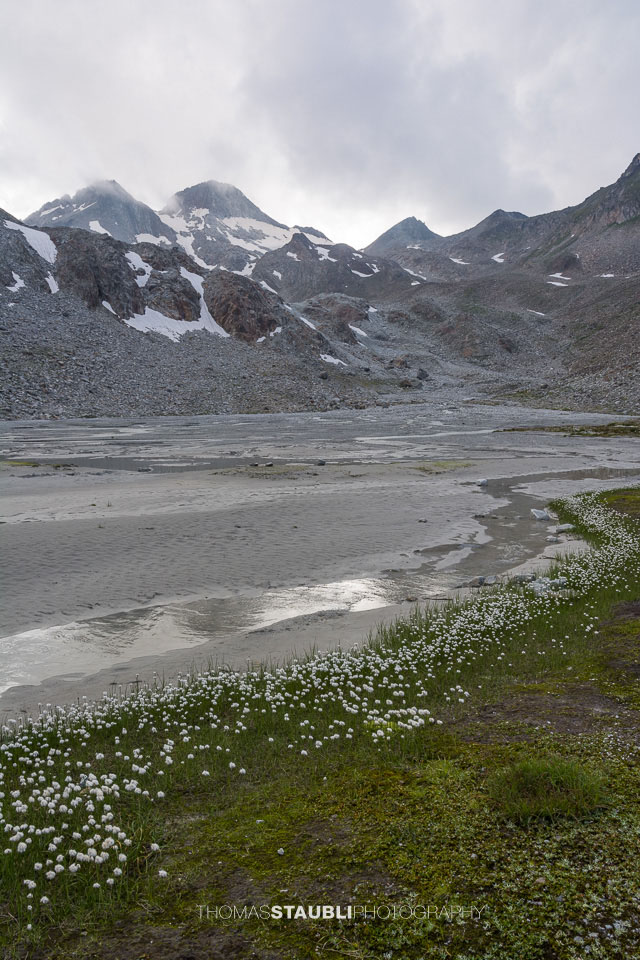 Vorfeld des Witenwasserengletschers