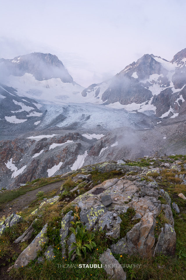 Blick zum Witenwasserengletscher