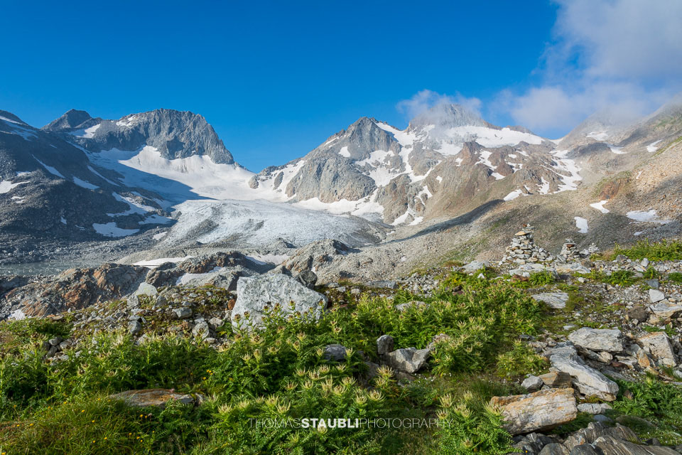 der Witenwasserengletscher in der Morgensonne