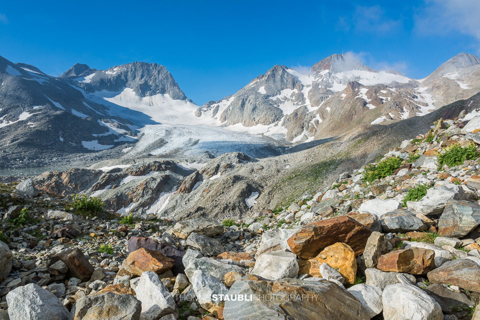 der Witenwasserengletscher in der Morgensonne