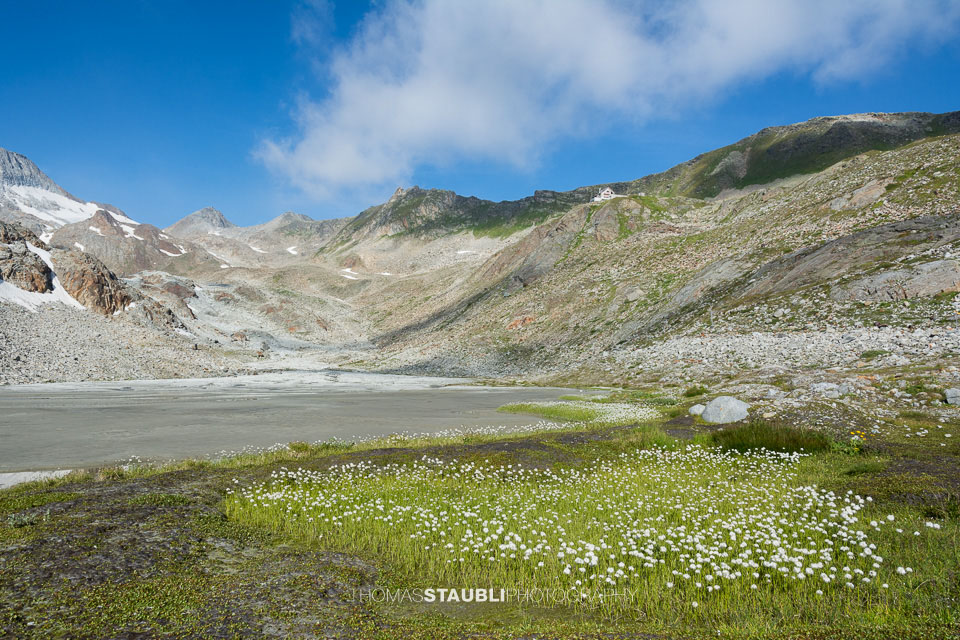 Schwemmebene unterhalb der Rotondohütte