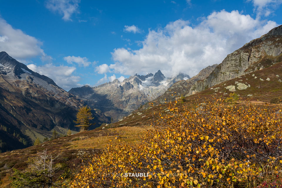 Herbst auf der Sewenalp