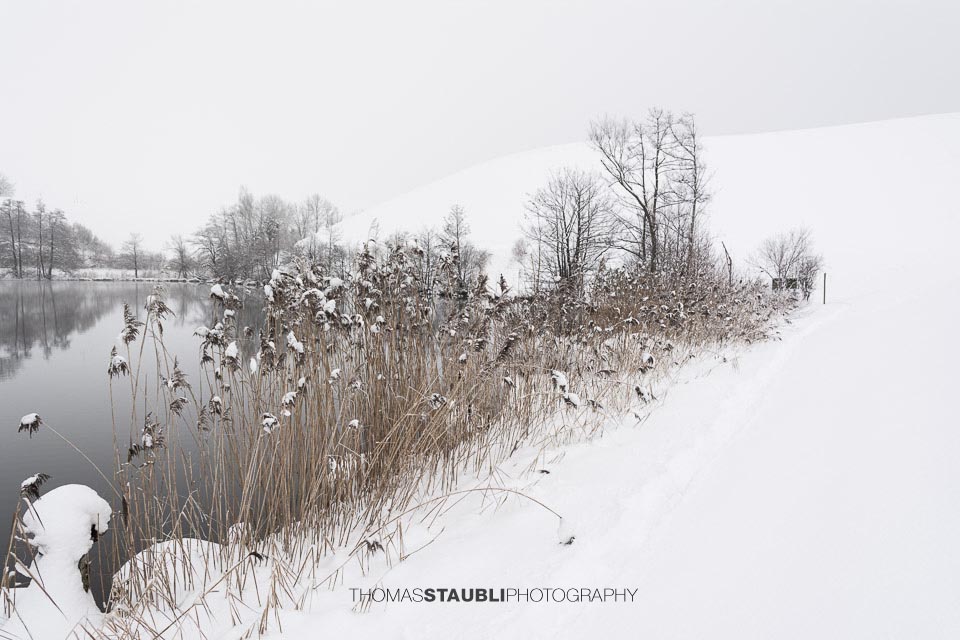 Winterimpressionen am Wilersee