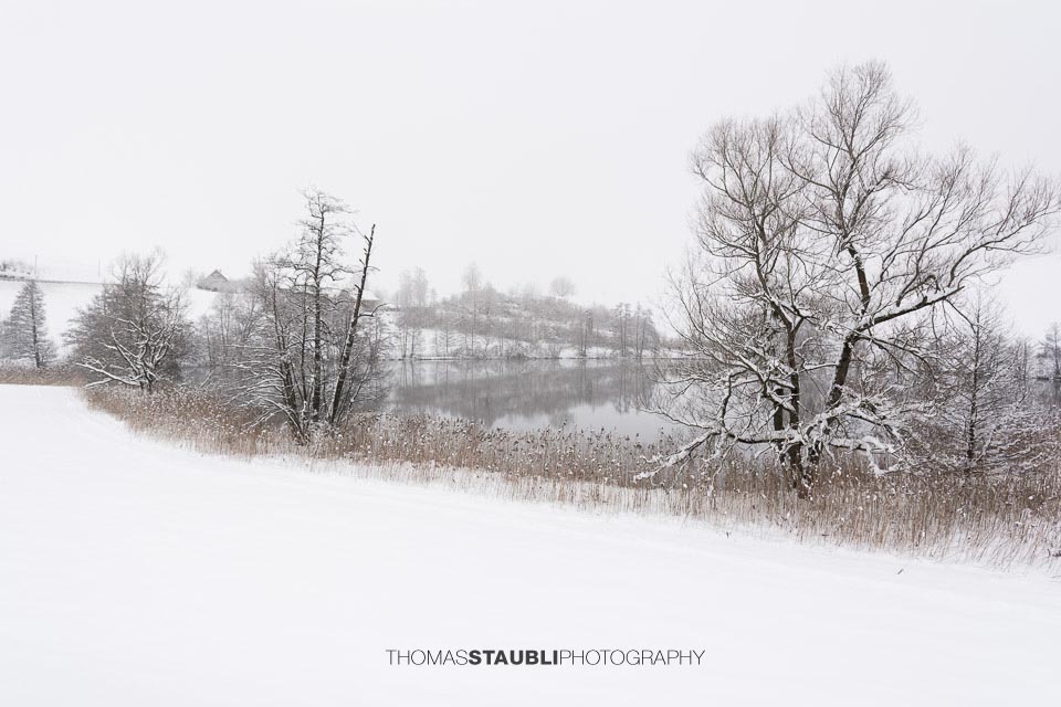 Winterimpressionen am Wilersee