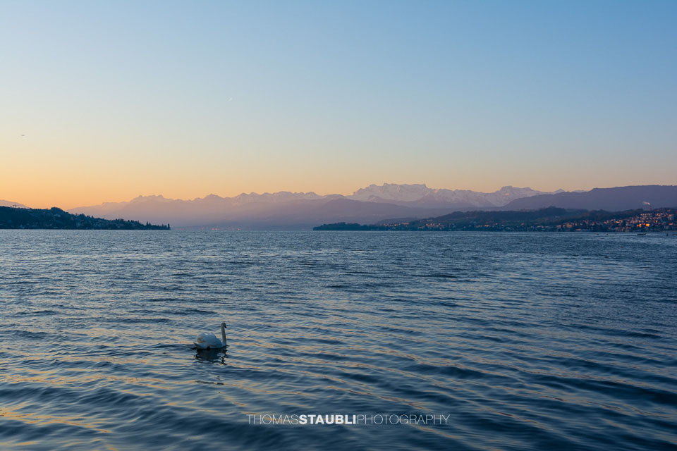 Sonnenaufgang über dem Zürichsee und den Glarner Alpen