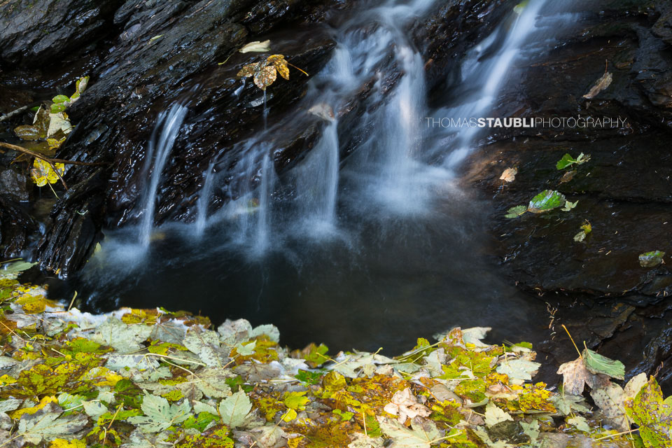 Hochmoor Chaltenbrunnen