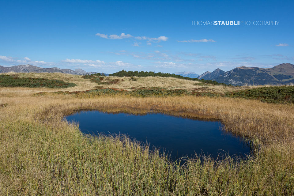 Hochmoor Chaltenbrunnen