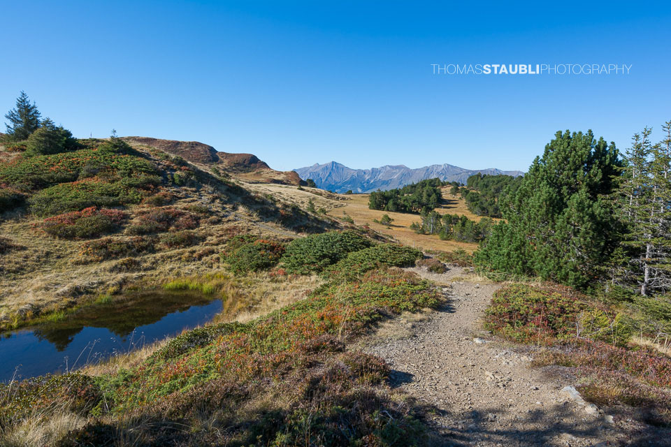 Hochmoor Chaltenbrunnen