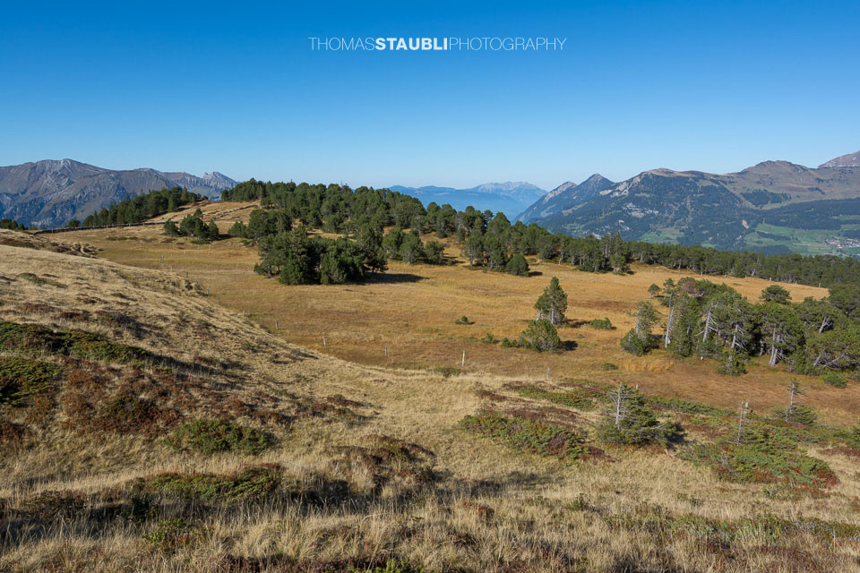 Hochmoor Chaltenbrunnen