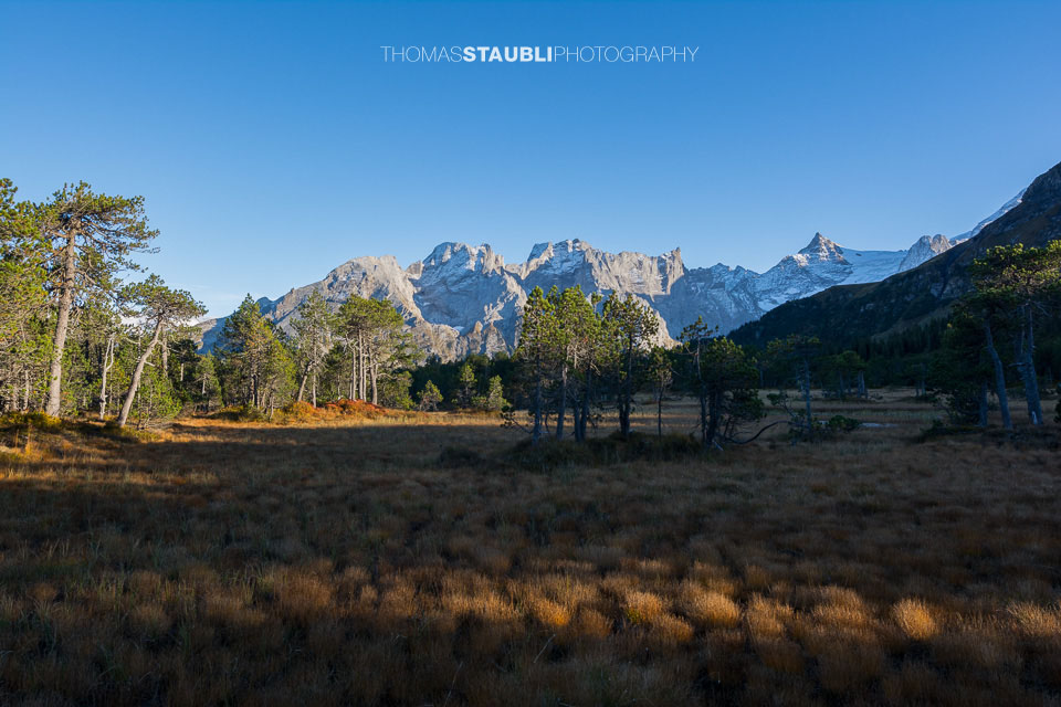 Hochmoor Chaltenbrunnen