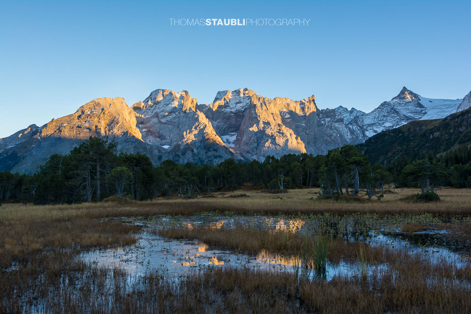 Hochmoor Chaltenbrunnen