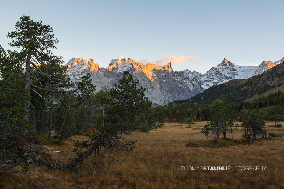 Hochmoor Chaltenbrunnen