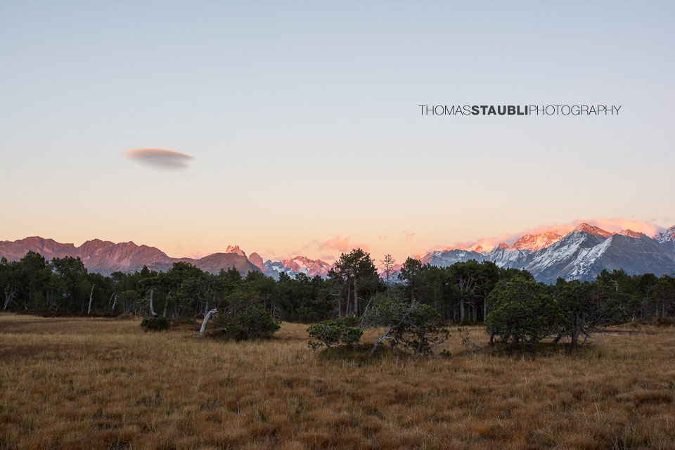 Hochmoor Chaltenbrunnen