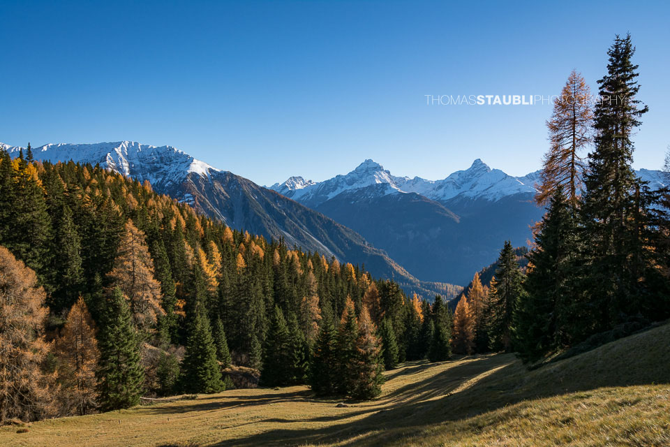 Herbst auf der Wiesner Alp