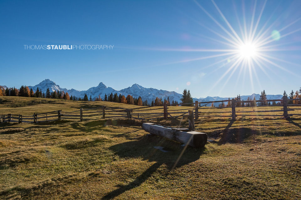 Herbst auf der Wiesner Alp