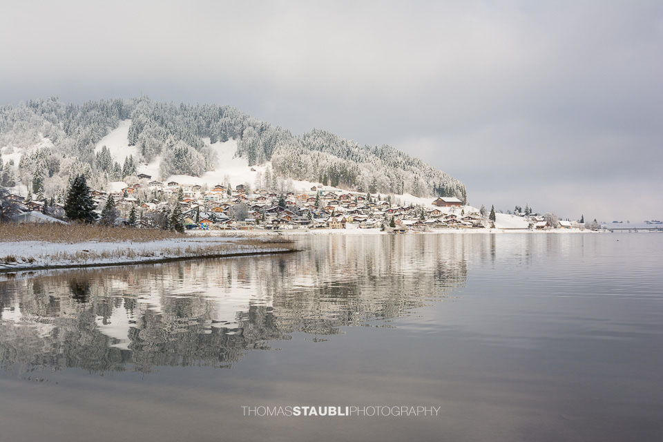 Winter am Sihlsee