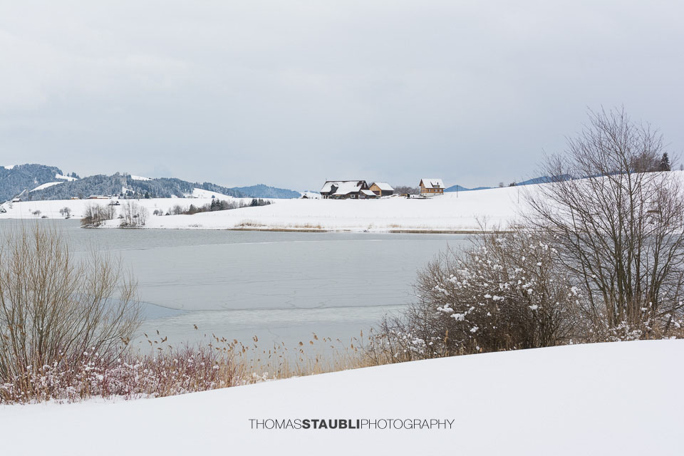 Winter am Sihlsee