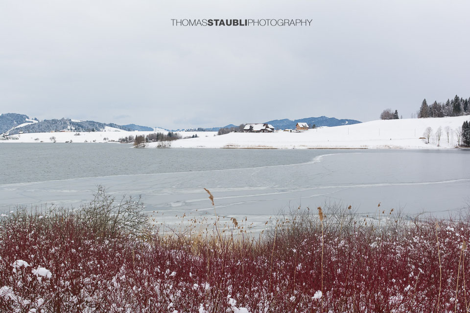 Winter am Sihlsee