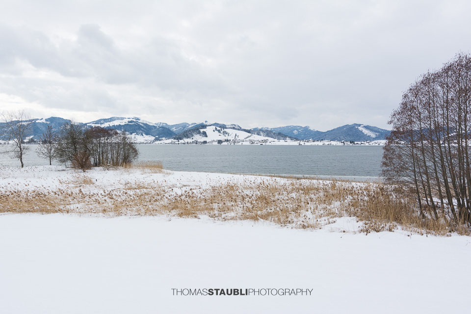 Winter am Sihlsee