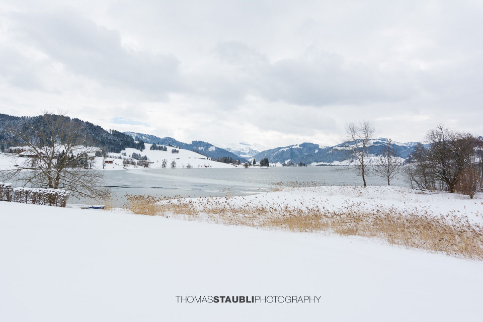 Winter am Sihlsee