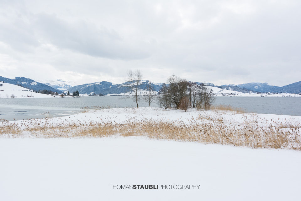 Winter am Sihlsee