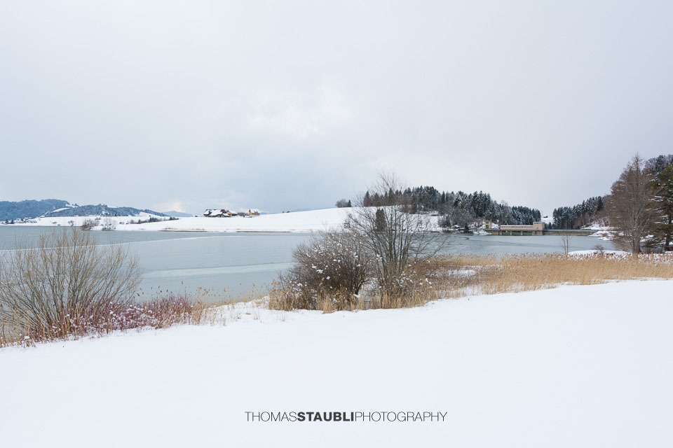 Winter am Sihlsee