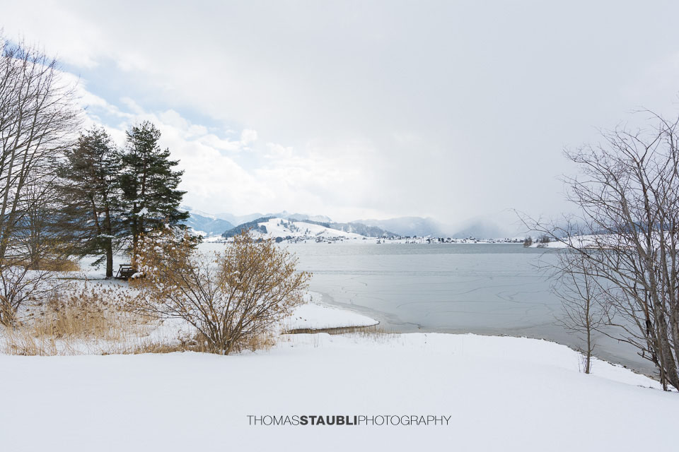 Winter am Sihlsee