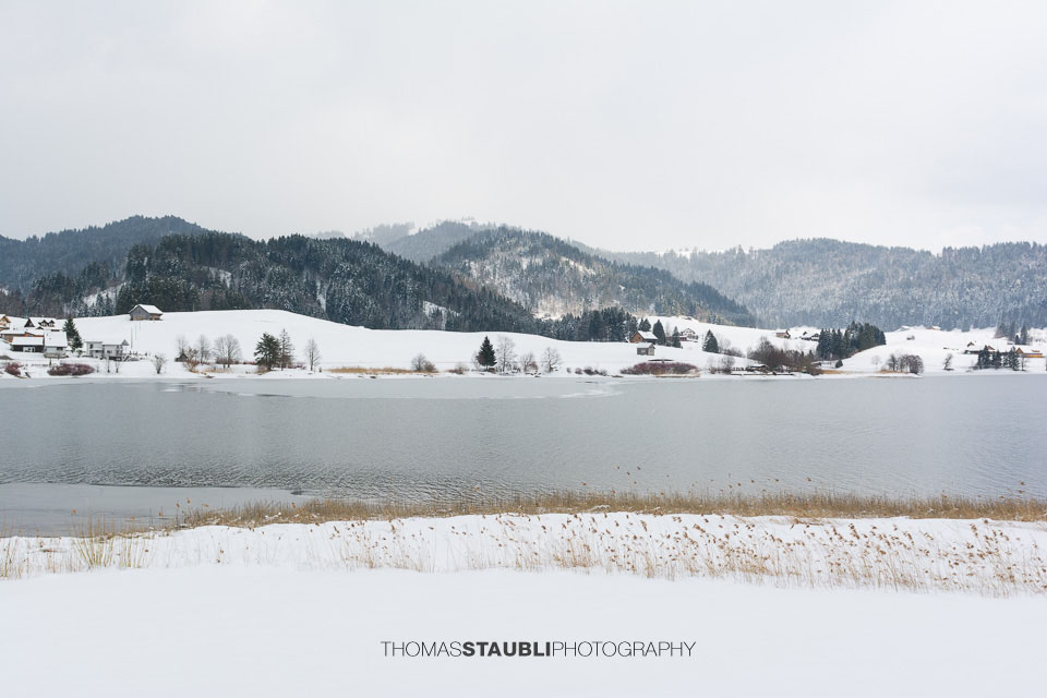 Winter am Sihlsee