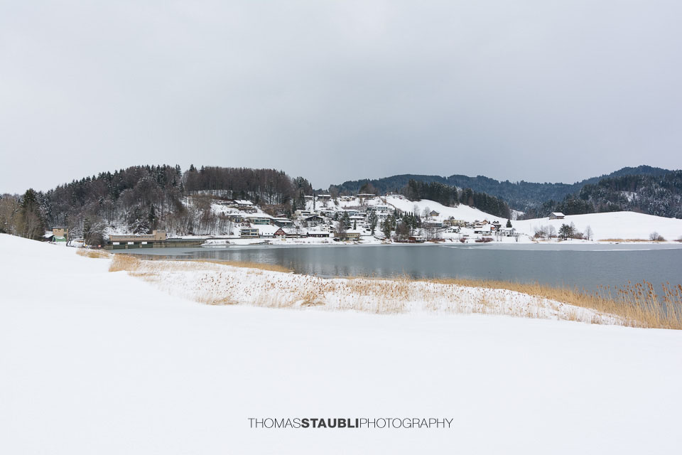 Winter am Sihlsee