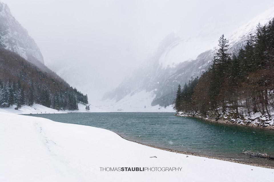 Nebel und Schnee am Seealpsee