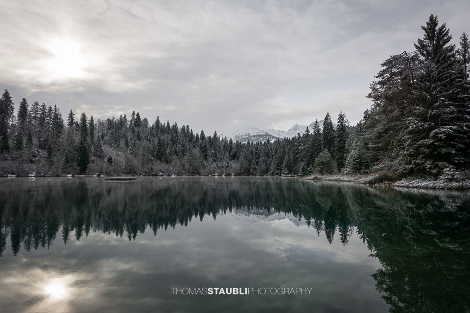 Winter am Crestasee