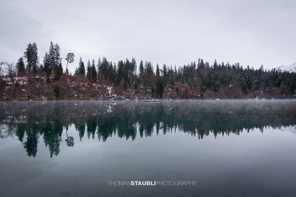 Winter am Crestasee