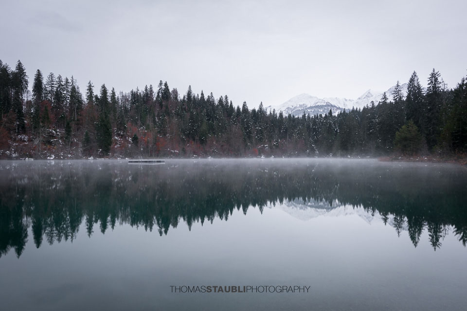 Winter am Crestasee